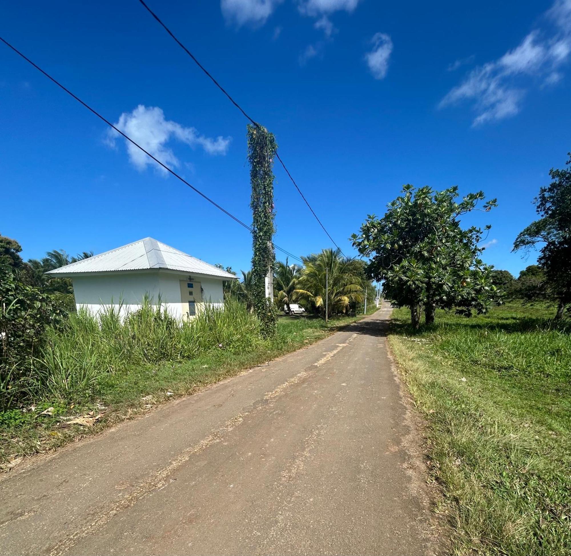 Joli Bungalow Fleuri Les Abymes Exterior foto